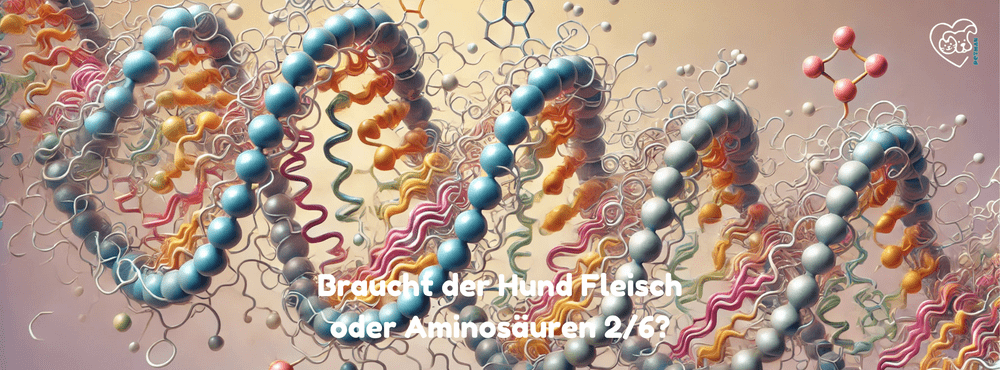 Ketten von Aminosäuren