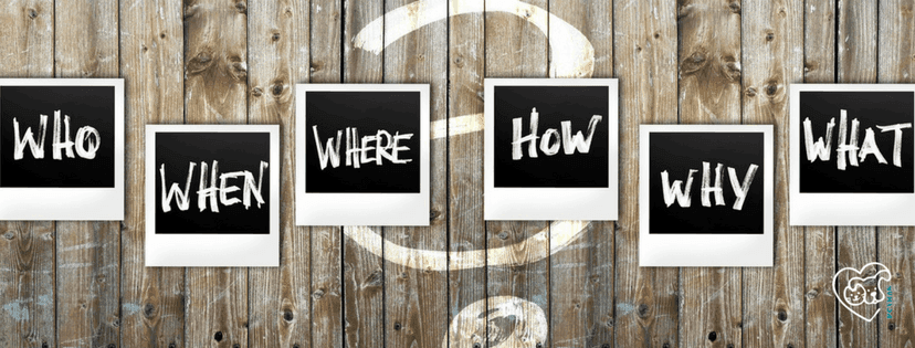 Holzhintergund mit 6 Fragetafeln. Who, When, Where,How, Why, What