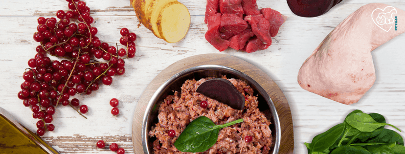 Fertiges BARF Menü im Napf, neben dem Napf liegen verschiedene Zutaten des Menüs