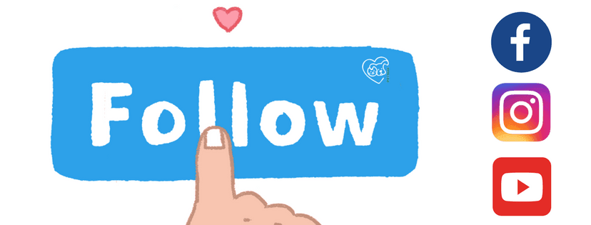 Symbol Follow für facebook und instagram