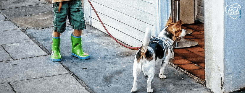 Kinderbeine in Gummistiefel, Hund an der Leine der in ein Geschäft reinschaut