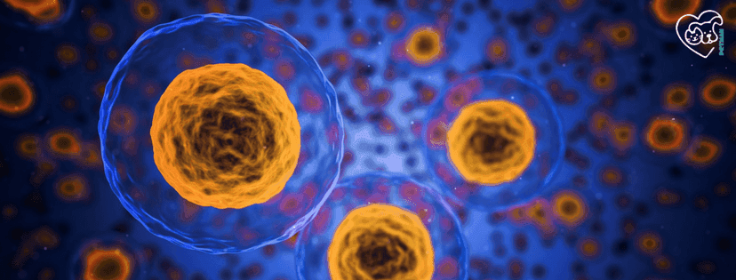 Abstarktes Bild Blau/Gelb