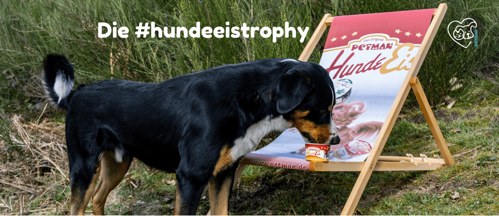 hundeeistrophy