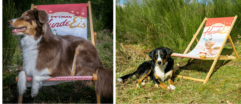 hundeeistrophy