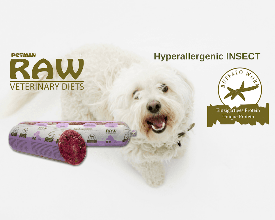 Weißer Hund mit der Hyperallergenic Wurst Insekt
