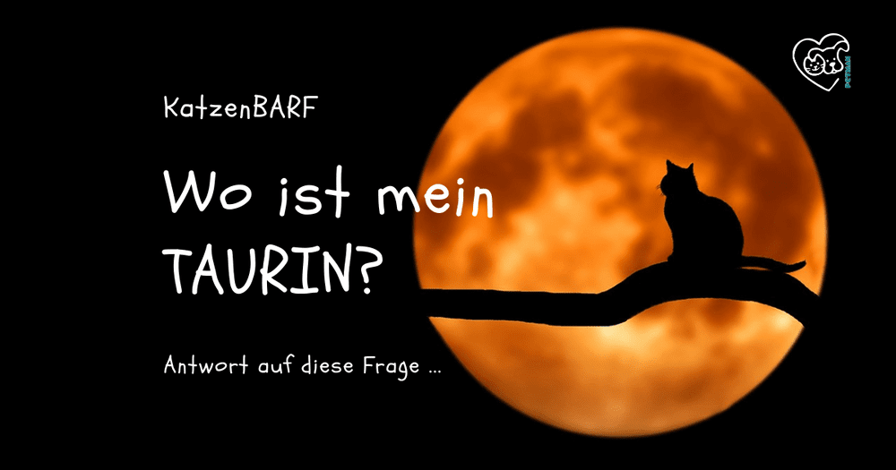 Katze vorm Mond auf Ast