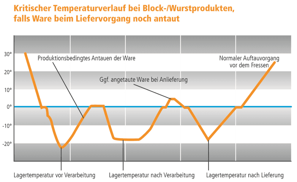 Kurve Temperaturverlauf beim Tiefkühlen