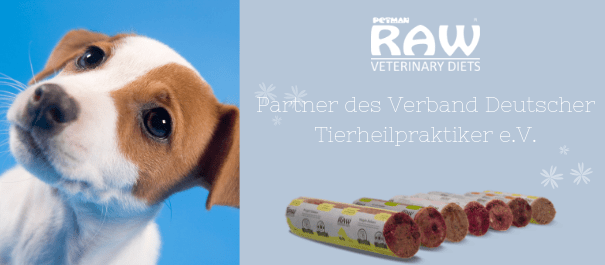 RAW Würste und süßer Hund